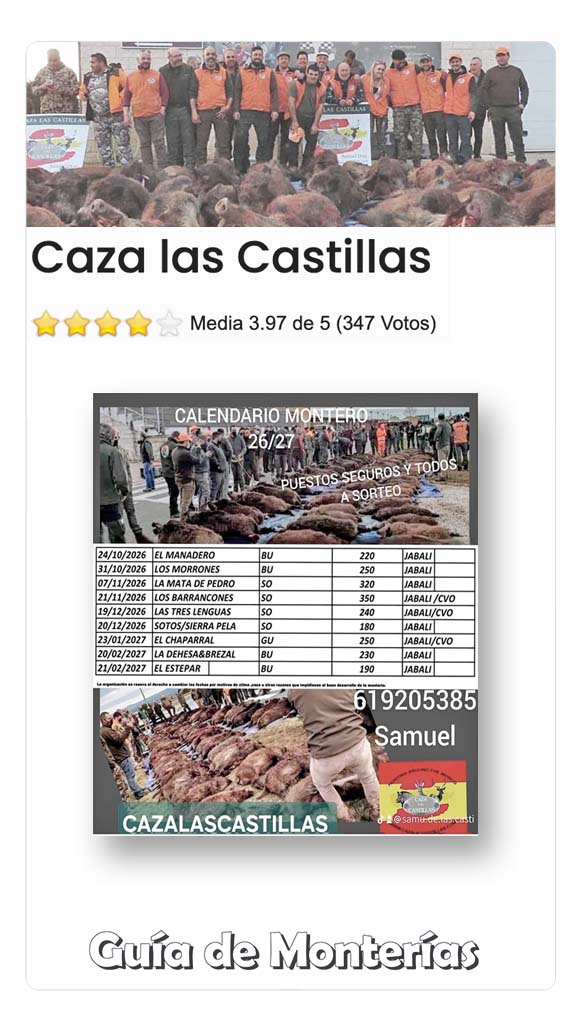 Programas de Monterias